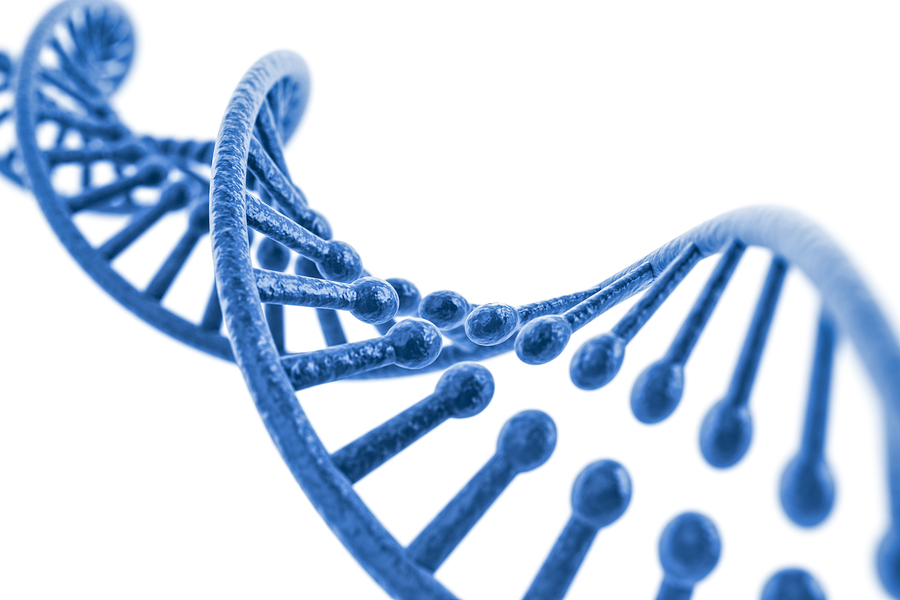 What Is Methylation?